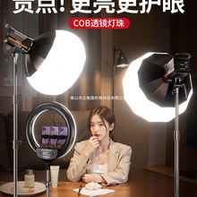 直播补光灯主播摄影灯专业直播间球形灯柔光灯摄影灯光设备全套网