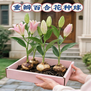 �ذ���ٺϷN��ΰ껨����mֱ����ˮ�ٺ��F�ڿ���ͥԺ��������