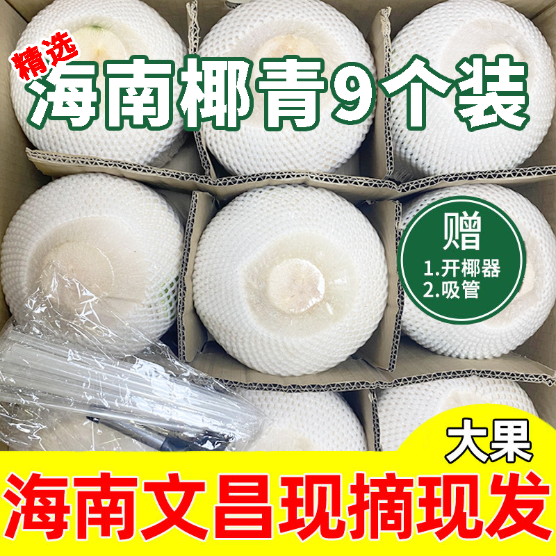 椰子海南椰青新鲜水果去皮青椰奶香水皇椰子鸡汁金椰文昌整箱直发