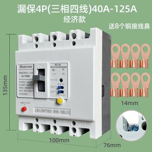 Shanghai People's Rmcm1L Air Switch with Leakage Protector Plastic Case Circuit Breaker 125A Air Switch 250A