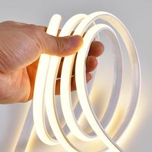 led灯带220v防水自粘超亮线形灯家用客厅吊顶氛围彩cob户外软灯条