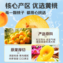 �S�Ҹɴ��l300g��؜�������T����������e��ʳ���ӹ���