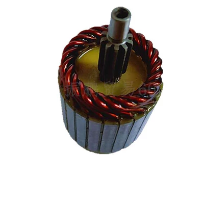 Starter Matching Rotor, Starter and accessories