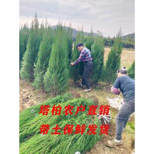 ���ش����С�ɰ����əu�ذؘ���u���������ر���ļ��L��G�x��