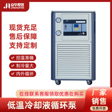 DLSB-10/80密閉低溫冷卻液循環泵 冷卻水循環機 實驗室冷水機