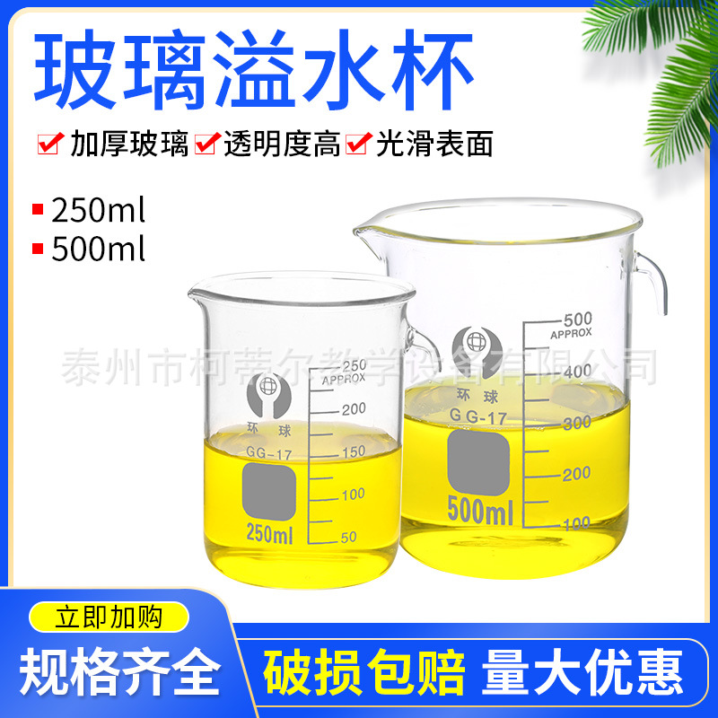 溢水杯 玻璃溢水杯 带嘴具支玻璃烧杯 化学实验玻璃仪器 教学教具