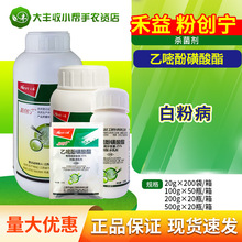 ���� �ۄ��� 25%���׷ӻ����� �S�ϰ׷۲��rș������20g-500g���]