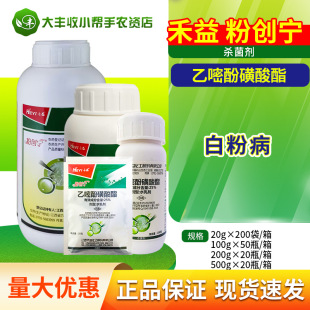 ���� �ۄ��� 25%���׷ӻ����� �S�ϰ׷۲��rș������20g-500g���]