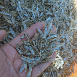 观赏鱼饲料;喂食器;猫猫零食
