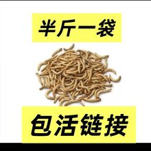 �S���x���lһ������x����������ϱ������]�}���J���u