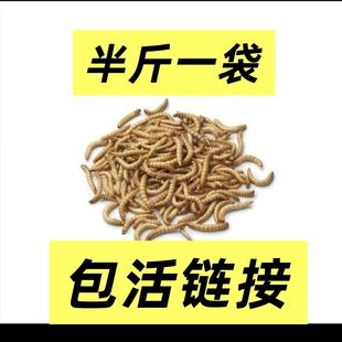 �S���x���lһ������x����������ϱ������]�}���J���u
