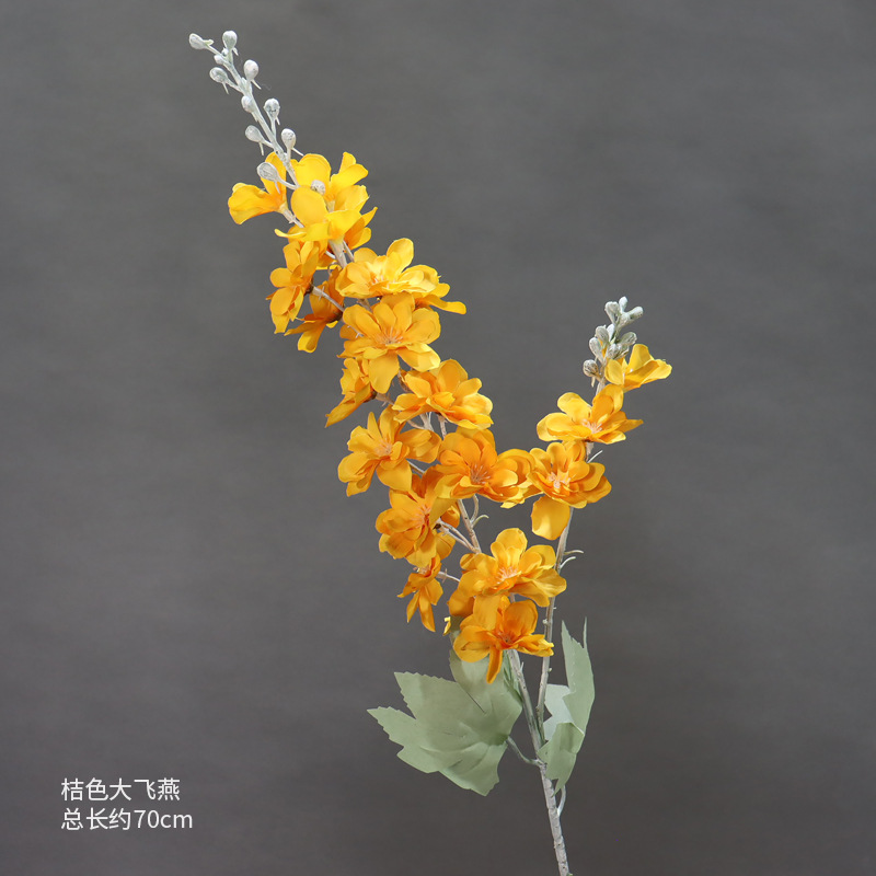 큰 오렌지 delphinium