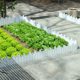 Garden Retaining Fence, Soil Fence, Gardening Fence, Outdoor Flower Bed, Flower Bed, Plastic Courtyard Small Fence