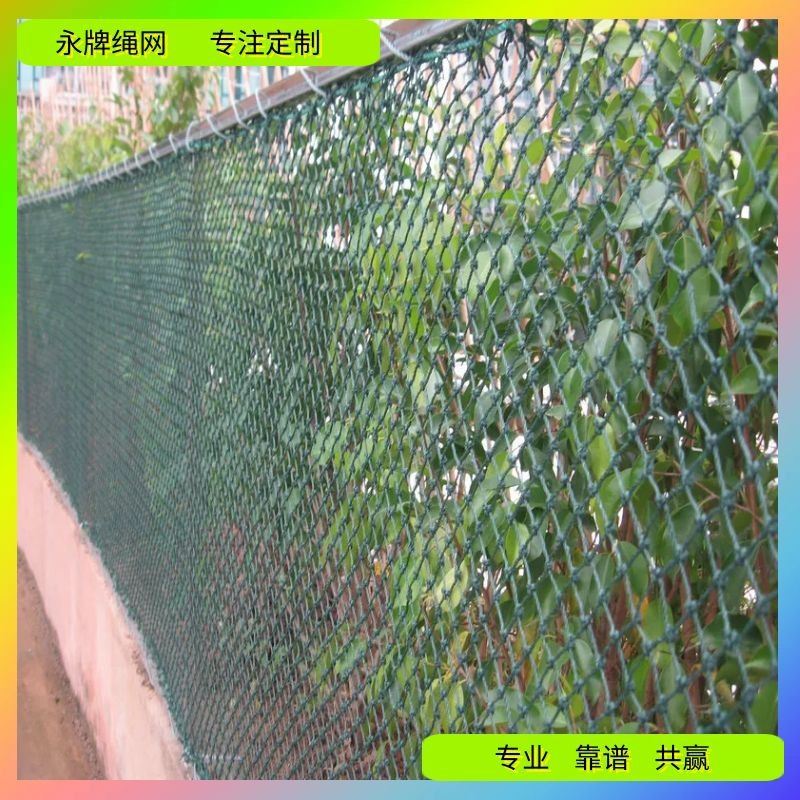 球场防护网 东莞佛山体育运动场围网批发 广州棒球足球尼龙绳网