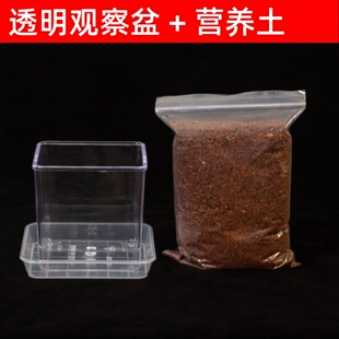 ͸������I�B������N�Ӱlѿ�胺ͯ�NֲС�������bֲ�����L�^���