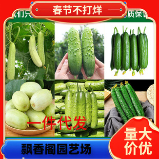 һ�����lˮ���S�ϷN���ļ����N�����׷N�߲˹Ϲ��N������Ժ��S��