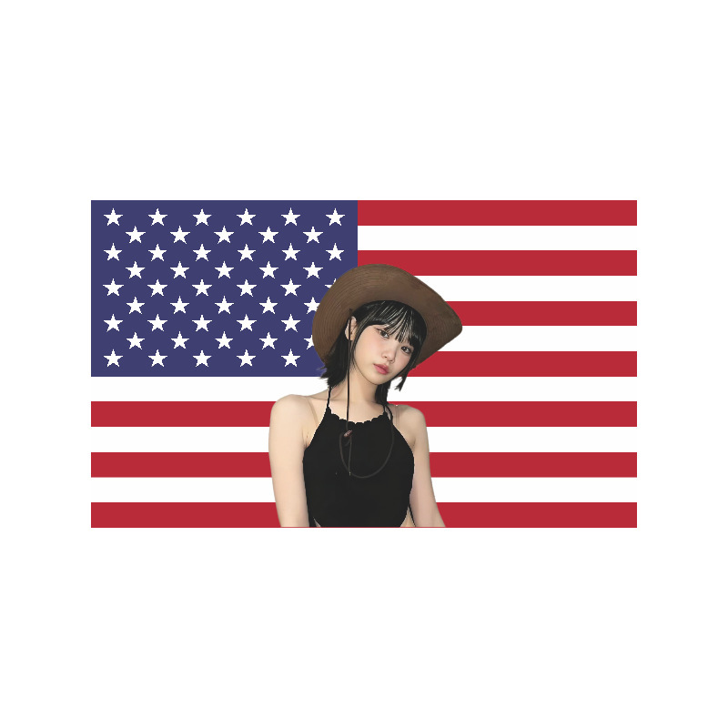 Amazonクロスボーダーサプライ アメリカ国旗背景 KIM-CHAEWON-Flag Jincaiyou 屋内吊り布旗|undefined