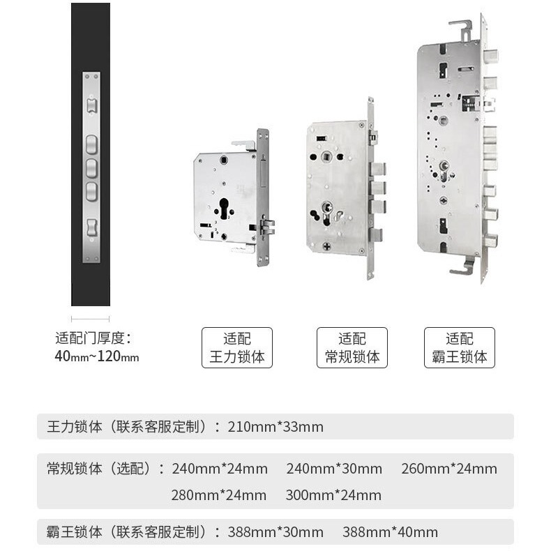 BECK Bock fingerprint lock stainless steel lock body conventional lock body overlord lock body (single shot does not send)