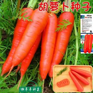 �Ŵ����t���}���N�Ӻ��}��ˮ���}���N���S���}���Ϻ��}������