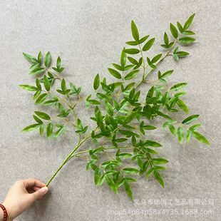 ��ͩ���Ř��֦���Ṥ�̷���ٻ�ˇ���~�Gɫ��ͩ�~�쾰���~�����~