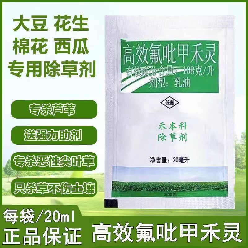 微信图片_202407101646191