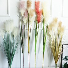 ins���W�L�W�t�JȔ�ݷ��滨��̖��ɫ��ɻ���ػ�ƿ�͏d�b�ˇ