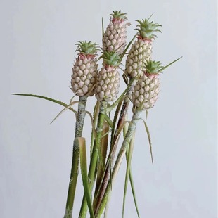 Cute Mini Thumb Pineapple Small Pineapple Ins Style Home Living Room Decoration Flowers Yunnan Kunming Flower Wholesale