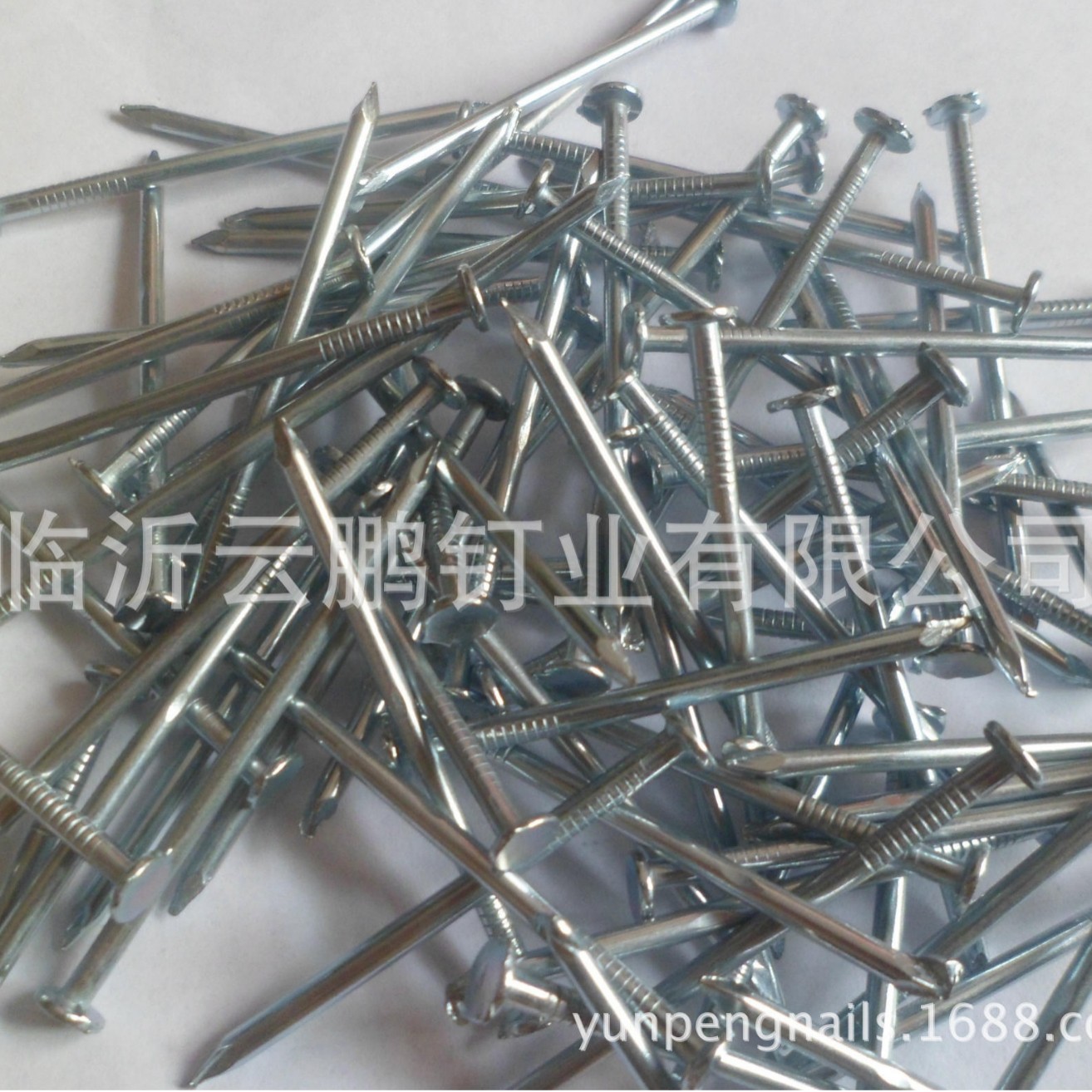 生产供应小铁钉规格型号1/2“XBWG19表面抛光或者镀锌 平帽或网状