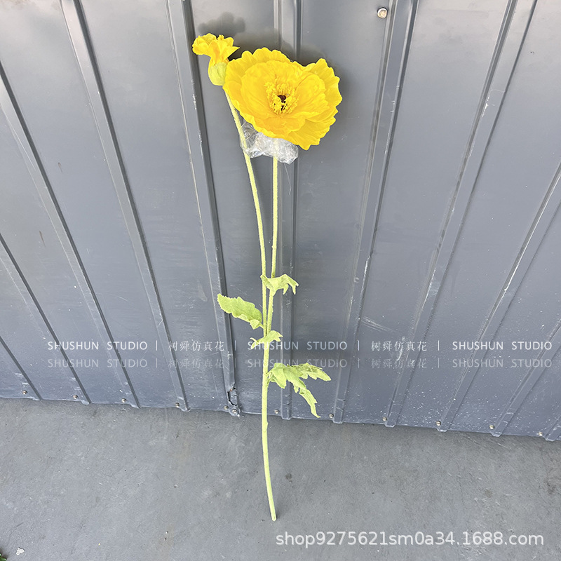 큰 양귀비-총 길이 약 1 미터