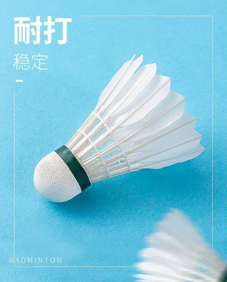 0b85f056-2008-4c31-8a60-a965acaf7752.jpe