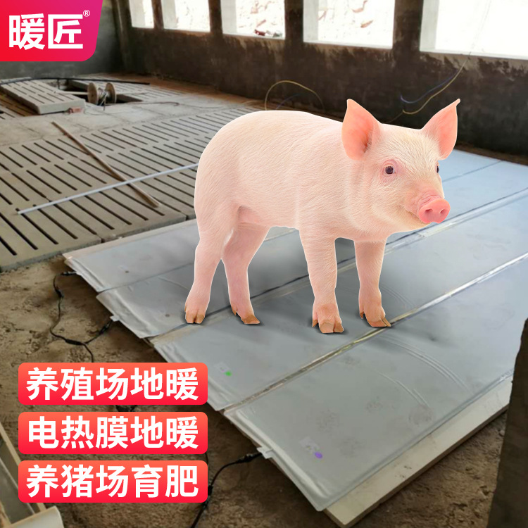 Cerdito placa calefactora eléctrica hoja calefactora cerdito entrega a temperatura constante cuidado de la cama película calefactora tablero de cerdito calefacción eléctrica película calefactora
