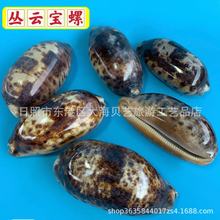 ��녌�����Ȼ����ؐ���˱��ݼҾ��b��~��ˮ���쾰�ղع�ˇƷ���