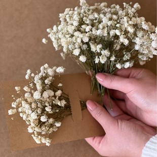 �羳���Nɢ�b�M���ǾG�U�׻��ɻ��������ֹ�DIY������ϏS��ֱ�l