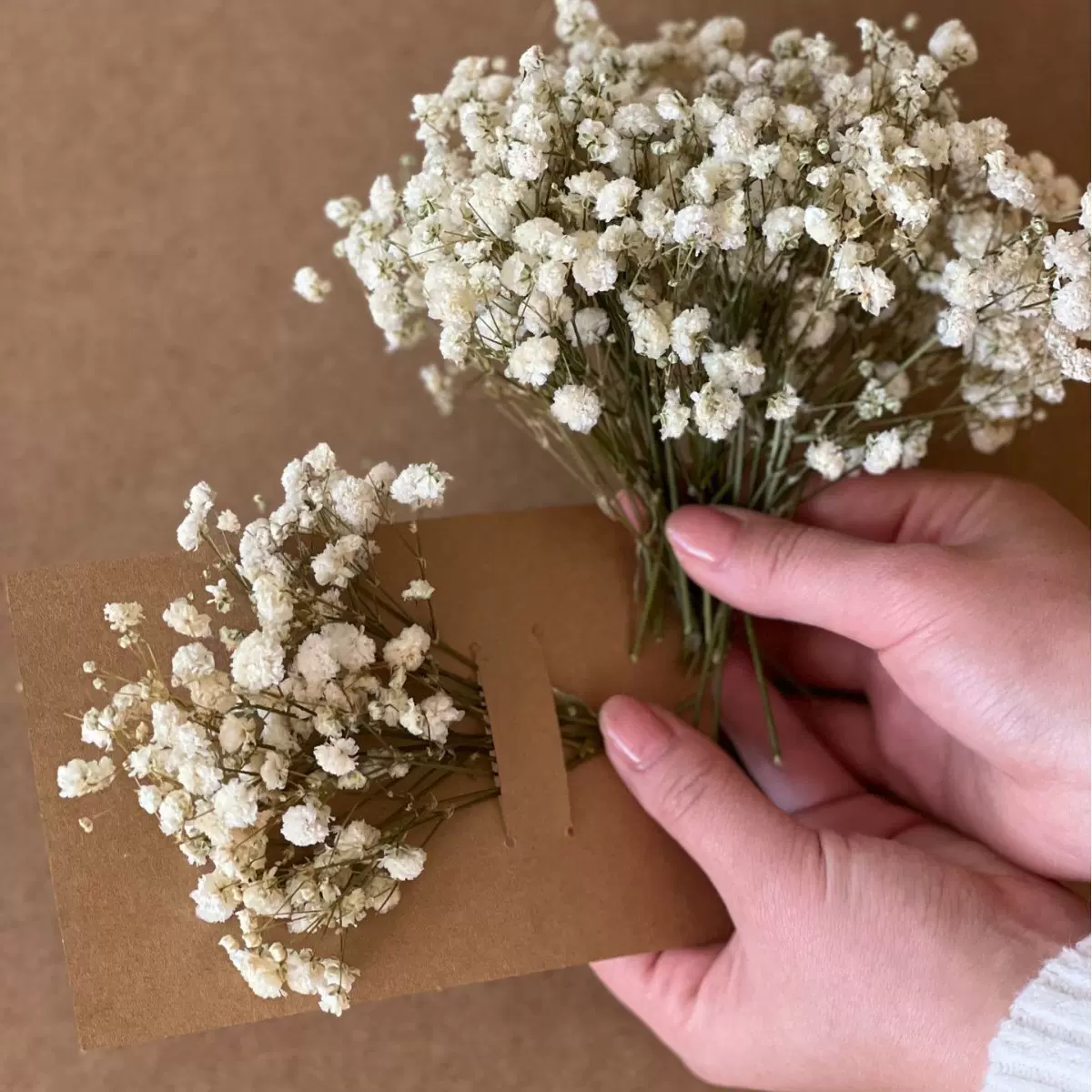 跨境热销散装满天星绿杆白花干花永生花手工DIY花材云南厂家直发