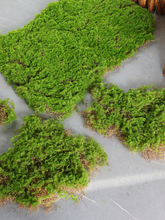 批发苔藓皮苔藓块青苔植绒摆件软装造景假山草皮草坪毛石头苔