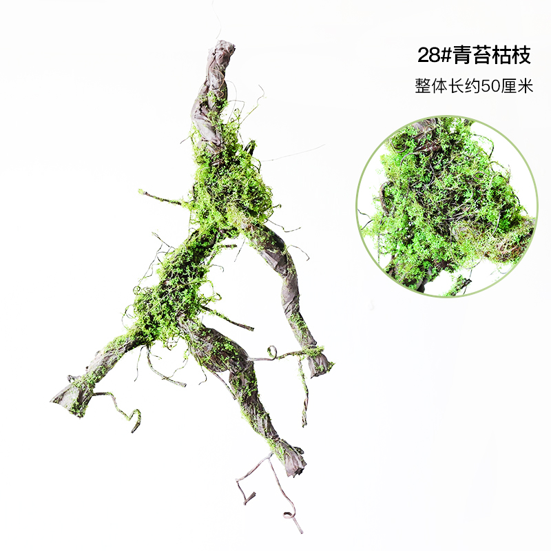 28#moss dead branches-dry branches