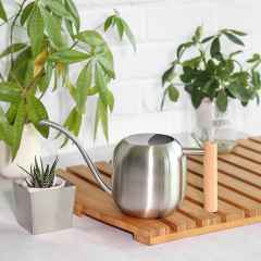 Stainless Steel Watering Can, European-Style Shower Pot with Wooden Handle, Household Flower Sprayer, Long-Nozzle Garden Tool – 1.2L Watering Kettle