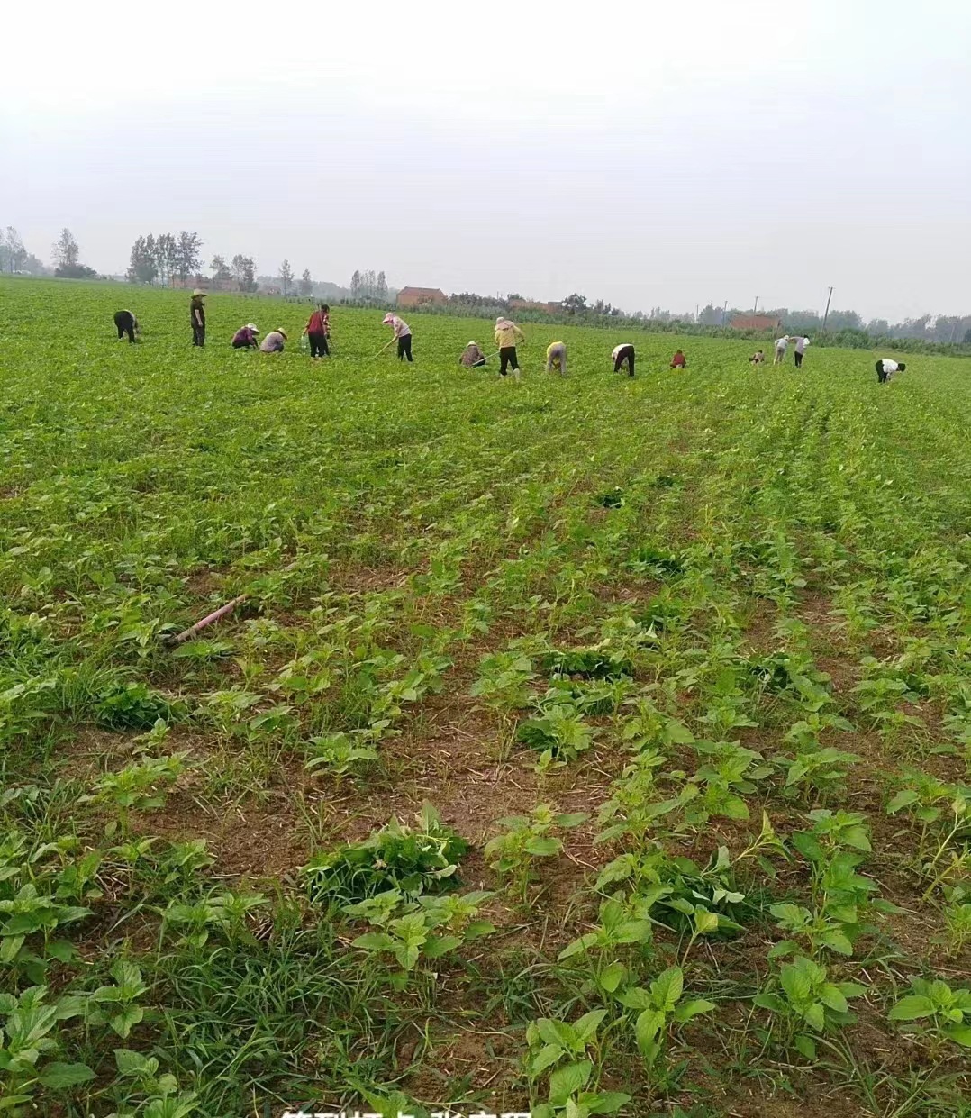 微信图片_20220717180754