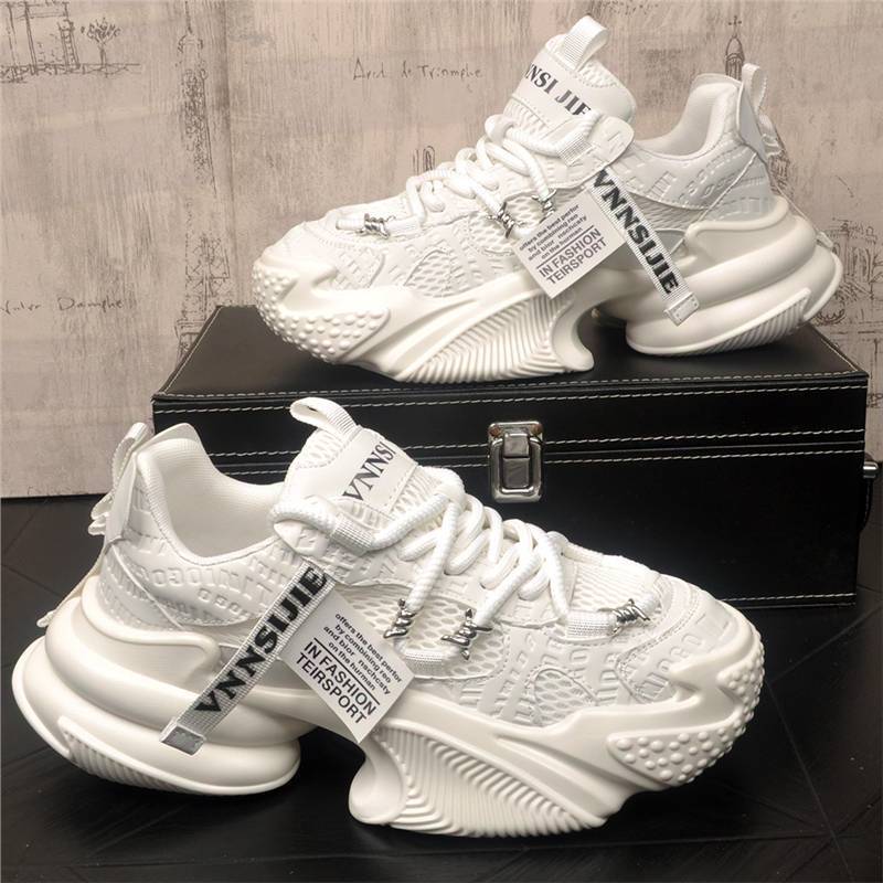 2025 New Dad Shoes Men's Design Niche Trendy Brand Fashion Thick-Soled Shoes Versatile Sports Casual Shoes