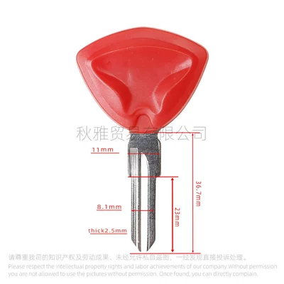 Chip, Motorcycle Key