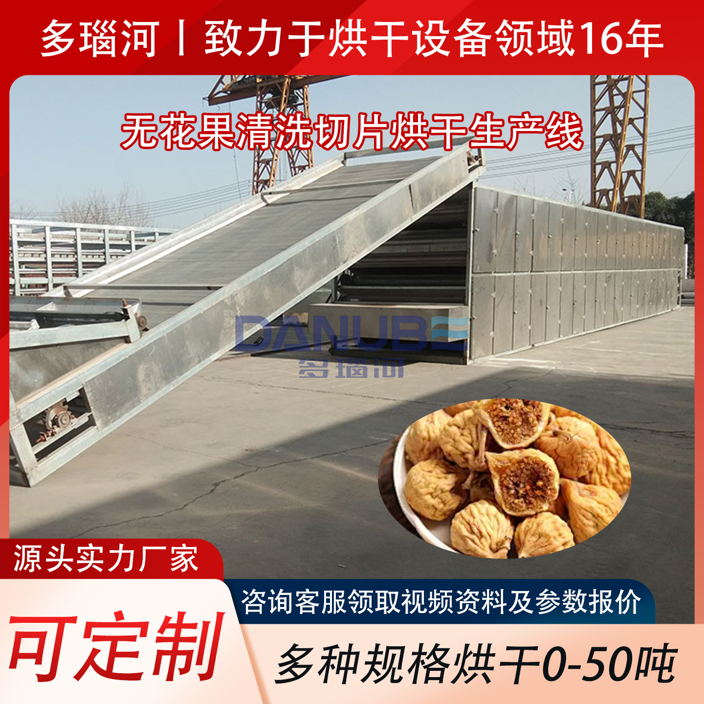 无花果烘干机网带式 蜜果奶浆果干燥设备 无花果干清洗烘干生产线