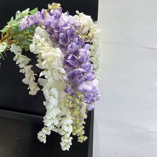 ���氢���վ������ٻ��L֦���ٻ�����������������������c�b�