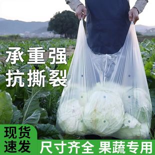 ��ɫ͸��ˮ���߲˷��F��͸���״��Ӻ����Ꭷ�����ϱ��İ��b50ֻ