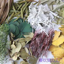 天然干树叶真树叶标本干花diy手工装饰材料包植物书签压花幼儿园