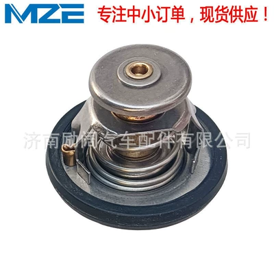 1096283 Thermostat – Thermostat