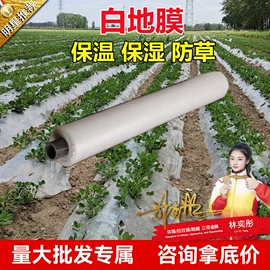 农用薄膜;功能薄膜;货场盖布