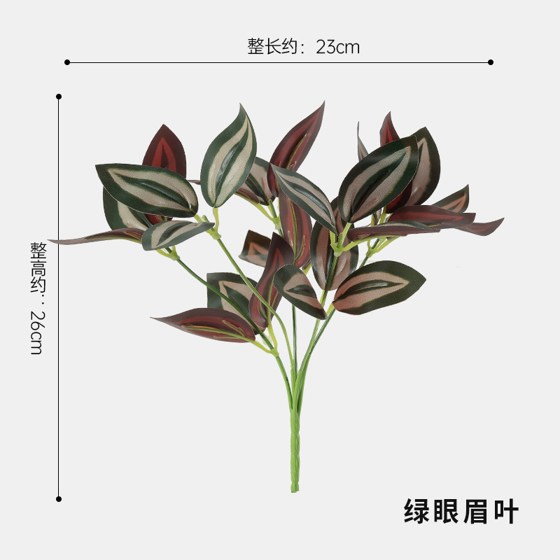 녹색 눈썹 잎