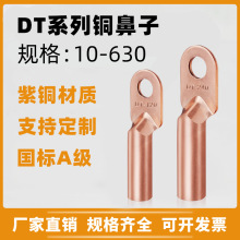 DT铜鼻子10-630平方线鼻子接线端子紫铜接头线耳国标A级裸端子