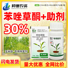 ˹l 30%ͪ׵س݌ÄMrș݄