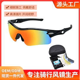 骑行眼镜;滑雪镜;宠物鞋靴